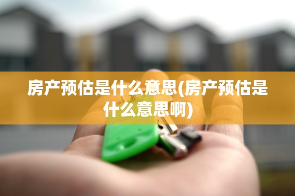 房产预估是什么意思(房产预估是什么意思啊)
