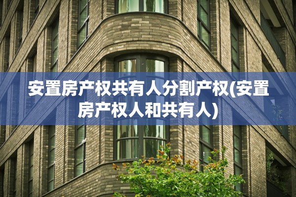 安置房产权共有人分割产权(安置房产权人和共有人)