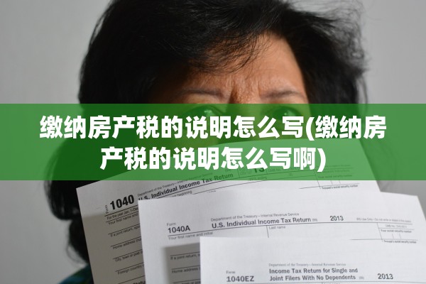 缴纳房产税的说明怎么写(缴纳房产税的说明怎么写啊)