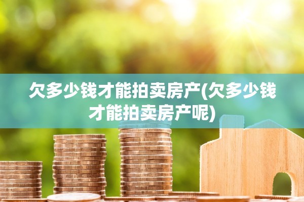 欠多少钱才能拍卖房产(欠多少钱才能拍卖房产呢)