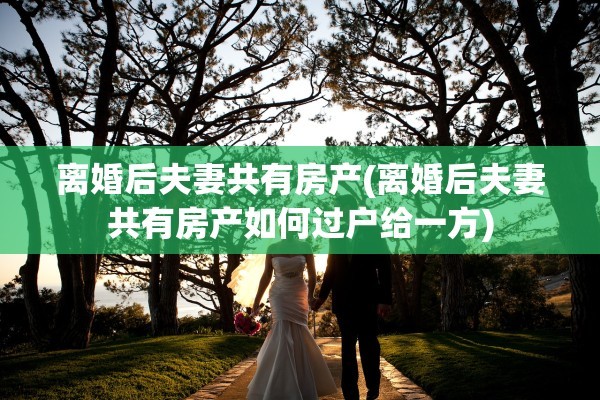 离婚后夫妻共有房产(离婚后夫妻共有房产如何过户给一方)