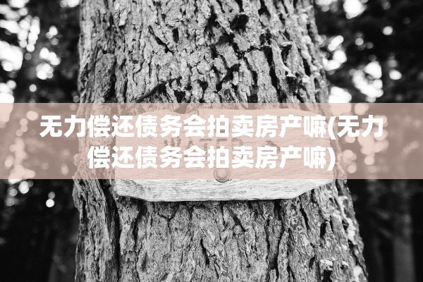 无力偿还债务会拍卖房产嘛(无力偿还债务会拍卖房产嘛)