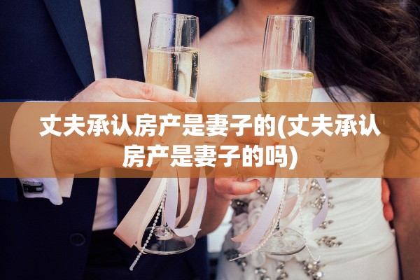 丈夫承认房产是妻子的(丈夫承认房产是妻子的吗)