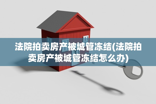 法院拍卖房产被城管冻结(法院拍卖房产被城管冻结怎么办)