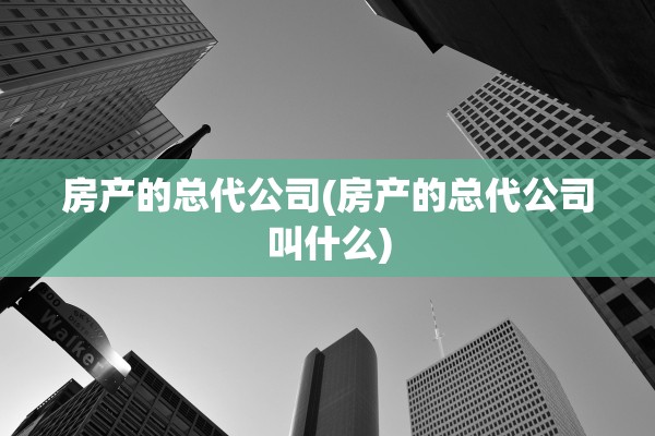 房产的总代公司(房产的总代公司叫什么)