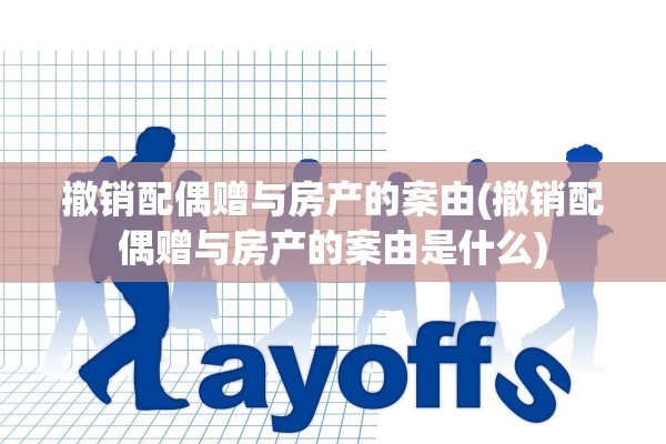 撤销配偶赠与房产的案由(撤销配偶赠与房产的案由是什么)