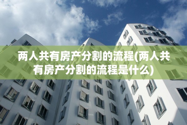 两人共有房产分割的流程(两人共有房产分割的流程是什么)