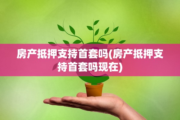 房产抵押支持首套吗(房产抵押支持首套吗现在)