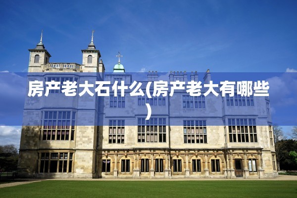 房产老大石什么(房产老大有哪些)
