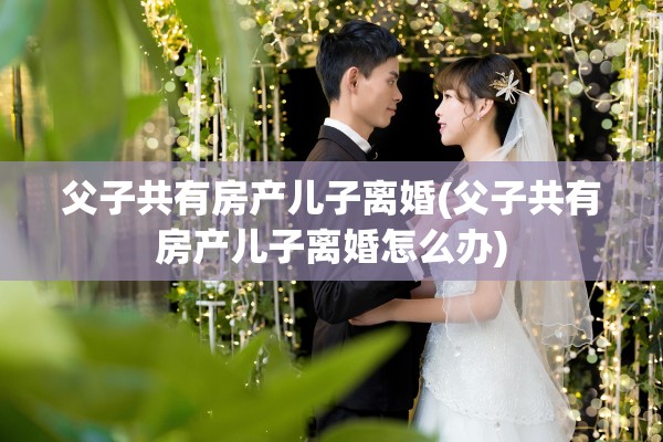 父子共有房产儿子离婚(父子共有房产儿子离婚怎么办)