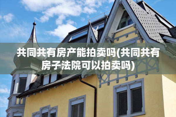 共同共有房产能拍卖吗(共同共有房子法院可以拍卖吗)