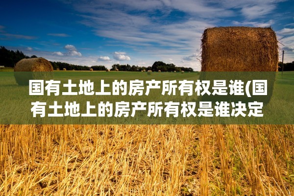 国有土地上的房产所有权是谁(国有土地上的房产所有权是谁决定的)