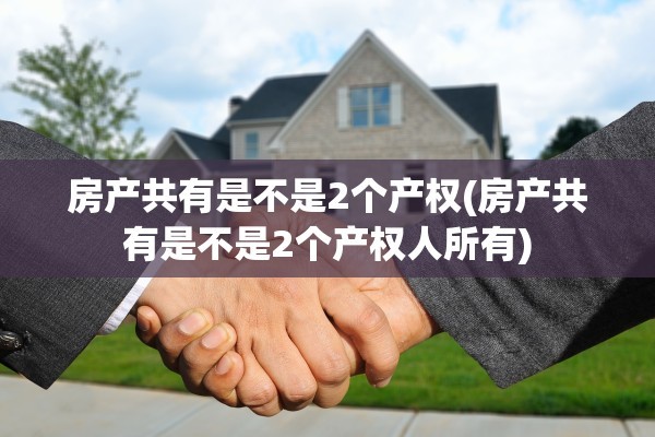房产共有是不是2个产权(房产共有是不是2个产权人所有)