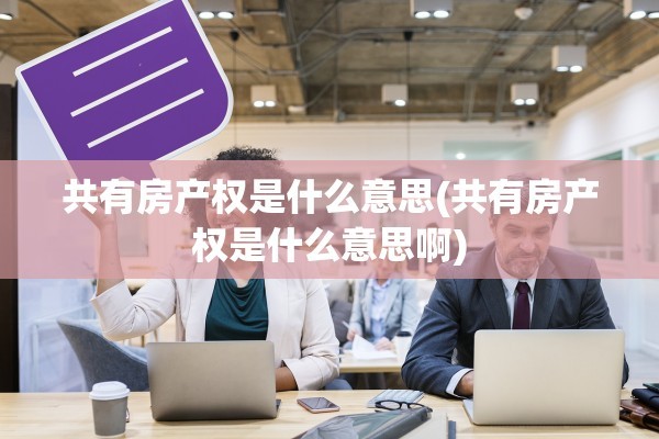 共有房产权是什么意思(共有房产权是什么意思啊)