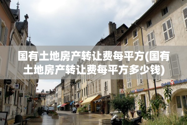 国有土地房产转让费每平方(国有土地房产转让费每平方多少钱)