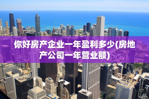 你好房产企业一年盈利多少(房地产公司一年营业额)