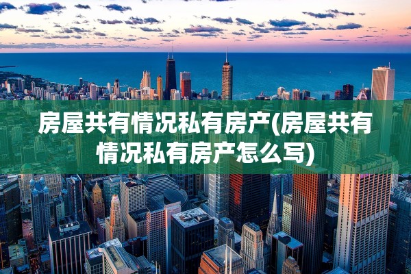 房屋共有情况私有房产(房屋共有情况私有房产怎么写)