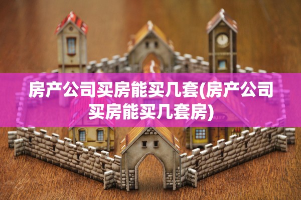 房产公司买房能买几套(房产公司买房能买几套房)