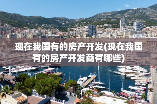现在我国有的房产开发(现在我国有的房产开发商有哪些)