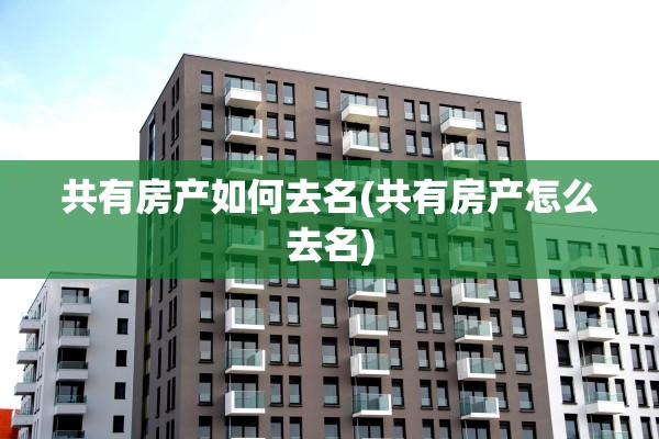 共有房产如何去名(共有房产怎么去名)