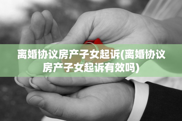 离婚协议房产子女起诉(离婚协议房产子女起诉有效吗)