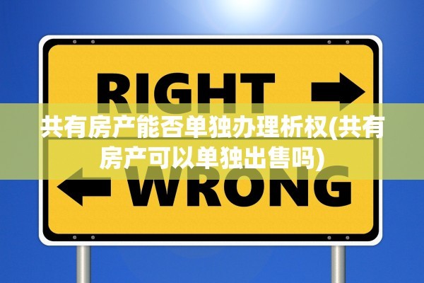 共有房产能否单独办理析权(共有房产可以单独出售吗)