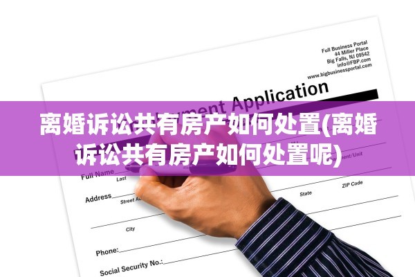 离婚诉讼共有房产如何处置(离婚诉讼共有房产如何处置呢)