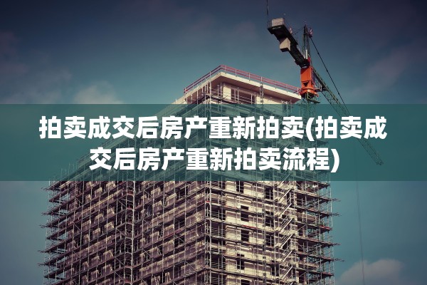 拍卖成交后房产重新拍卖(拍卖成交后房产重新拍卖流程)