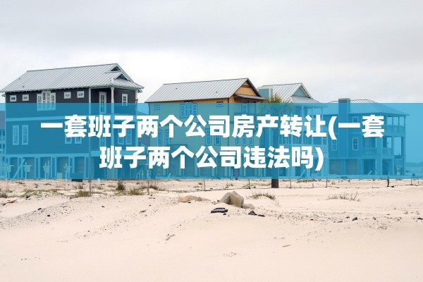 一套班子两个公司房产转让(一套班子两个公司违法吗)