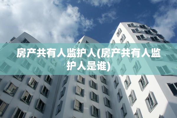 房产共有人监护人(房产共有人监护人是谁)