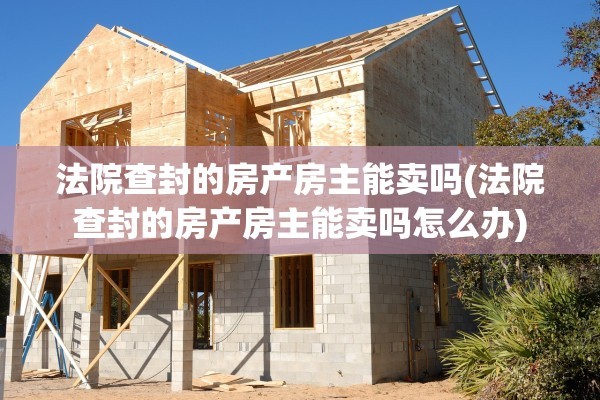 法院查封的房产房主能卖吗(法院查封的房产房主能卖吗怎么办)