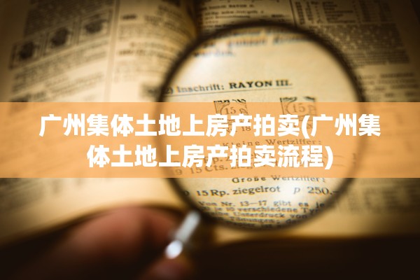 广州集体土地上房产拍卖(广州集体土地上房产拍卖流程)