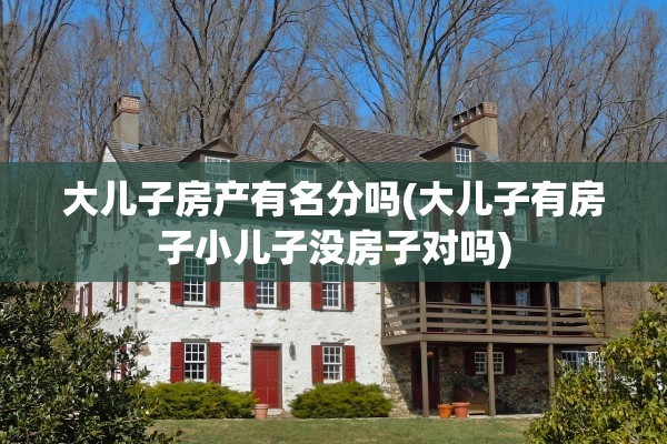 大儿子房产有名分吗(大儿子有房子小儿子没房子对吗)