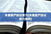 夫妻房产协议效力(夫妻房产协议效力如何)