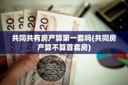 共同共有房产算第一套吗(共同房产算不算首套房)