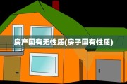 房产国有无性质(房子国有性质)