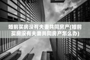 婚前买房没有夫妻共同房产(婚前买房没有夫妻共同房产怎么办)