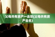 父母共有房产一去世(父母共有房产去名)