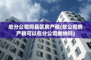 总分公司同县区房产税(总公司房产税可以在分公司缴纳吗)