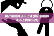 房产被抵押还不上钱(房产被抵押还不上钱怎么办)