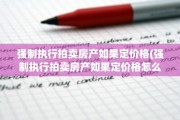 强制执行拍卖房产如果定价格(强制执行拍卖房产如果定价格怎么办)