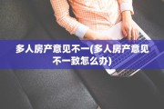 多人房产意见不一(多人房产意见不一致怎么办)