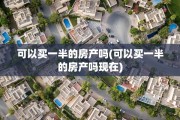 可以买一半的房产吗(可以买一半的房产吗现在)