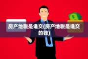 房产地税是谁交(房产地税是谁交的钱)