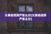 父亲去世房产怎么分(父亲去逝房产怎么分)