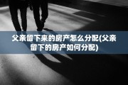 父亲留下来的房产怎么分配(父亲留下的房产如何分配)