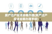 房产过户应该去哪办理(房产过户应该去哪办理手续)