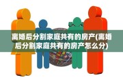 离婚后分割家庭共有的房产(离婚后分割家庭共有的房产怎么分)