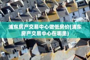 浦东房产交易中心做低房价(浦东房产交易中心在哪里)