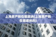 上海房产税在哪缴纳(上海房产税在哪缴纳的)
